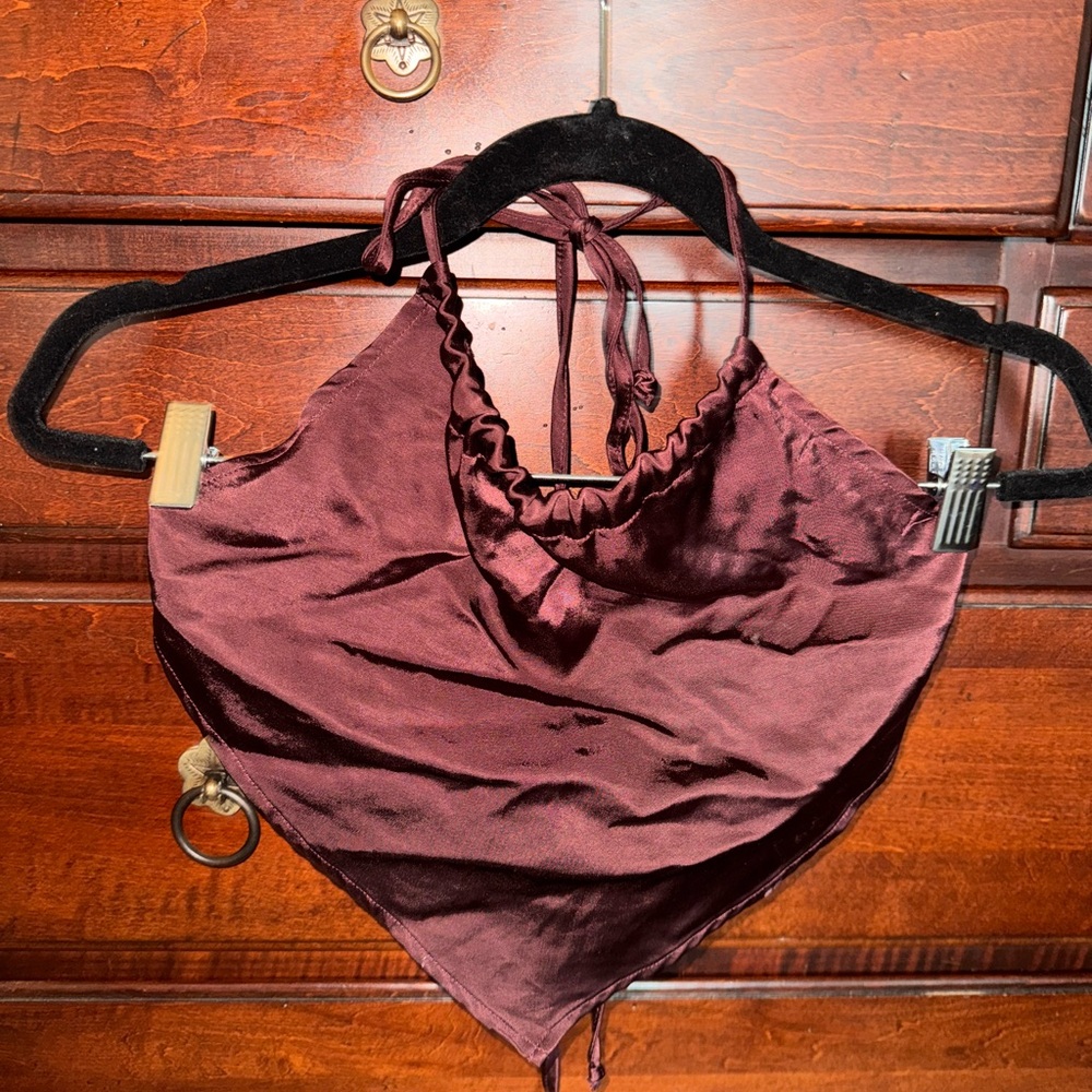 Urban Outfitters Burgundy Satin Crop Top